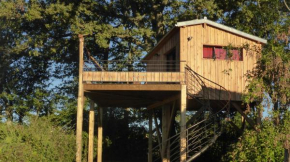 Гостиница La cabane perchée du faucon  Фрешу-Фреше